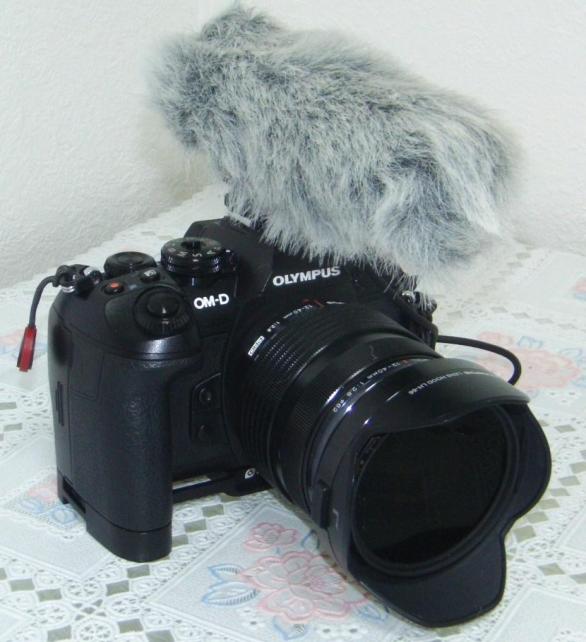 ウィンドウジャマ装着