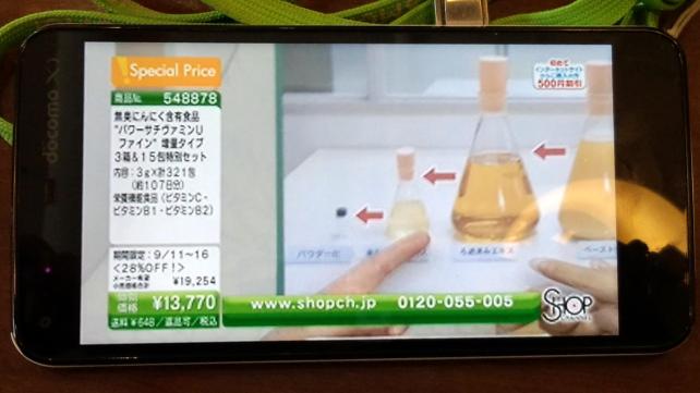 0.6Mbpsの画質です。かなりジャギが入っています。