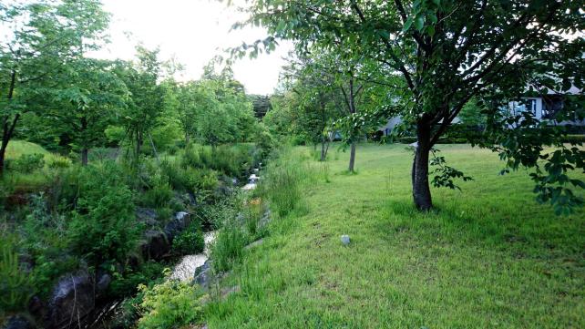 ドックラン用の専用エリアが設けられています。