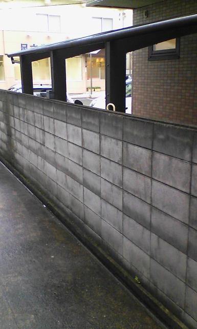 やはり景色になると粗が目立つ