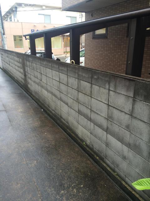 こちらもレベルが違う