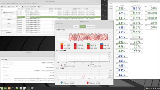 Linux Mint 19.1 Cinnamon
