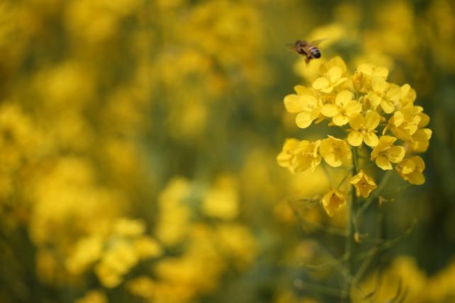 60mm f2.8 1/5000sec ISO400