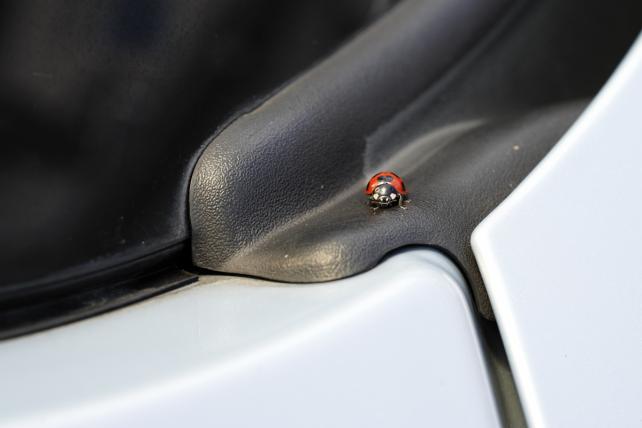 60mm f8 1/200sec ISO400