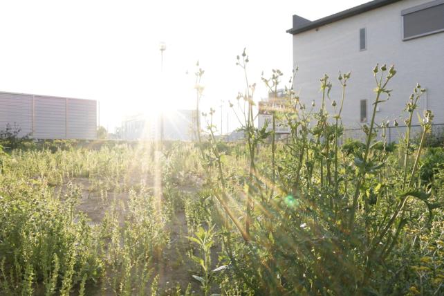 18mm f11 1/60sec ISO400