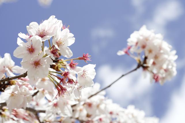 60mm f8 1/640sec ISO400