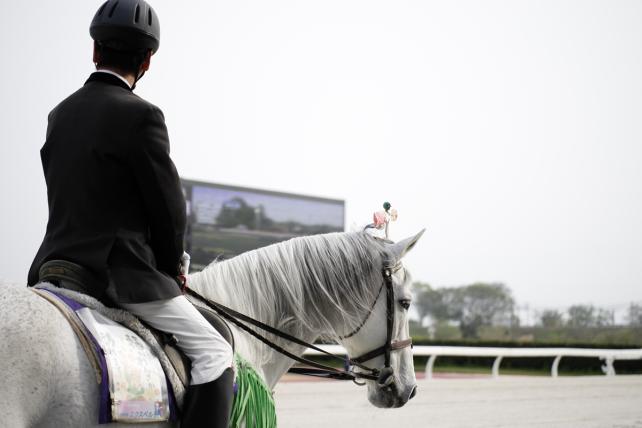 60mm f2.8 1/2500sec ISO400