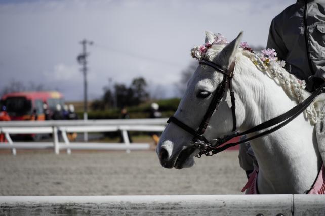 60mm f2.8 1/10000sec ISO400