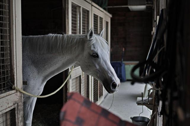 35mm f1.4 1/1600sec. ISO-100