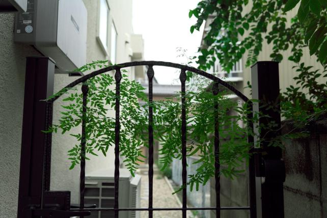 35mm f4 1/640sec ISO400