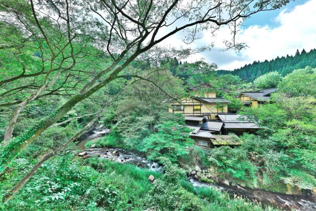 14mm f5.6 1/500sec ISO400