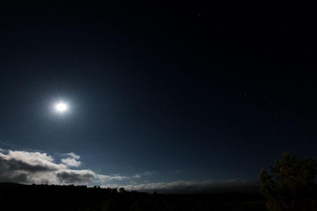 14mm f2.8 1/2sec ISO12800