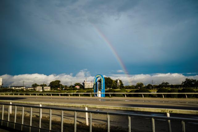 35mm f1.4 1/8000sec ISO1600