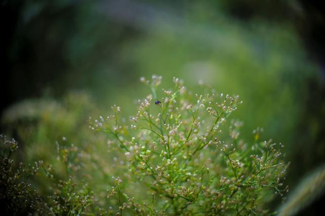 18mm f11 1/60sec ISO400