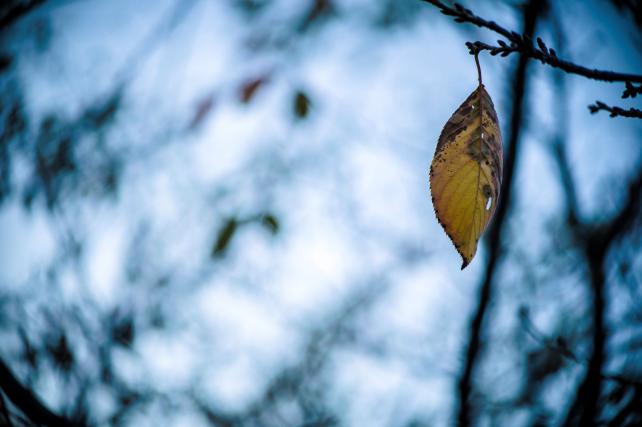 18mm f11 1/60sec ISO400