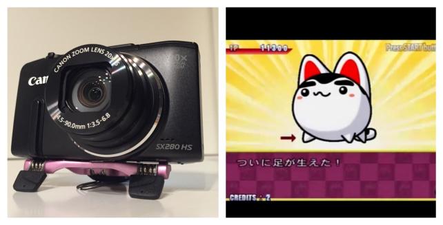 クイズ&バラエティすくすく犬福 より引用