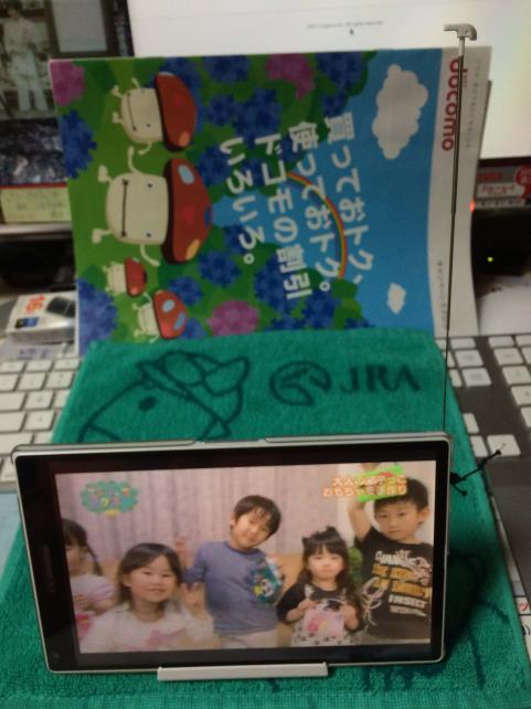 テレビ視聴用ロッドアンテナ