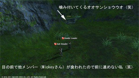 森には怖いモンスターが(笑)