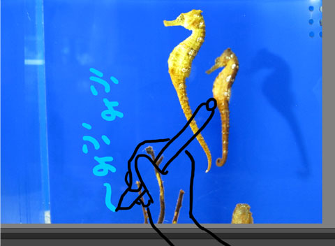 ペンタブで写真に文字入れ