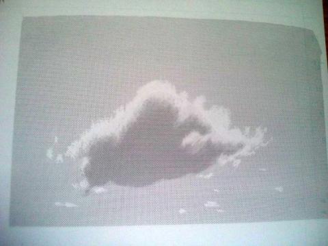 あとは写真を見ながら、雲のところをガリガリ削って完成です。