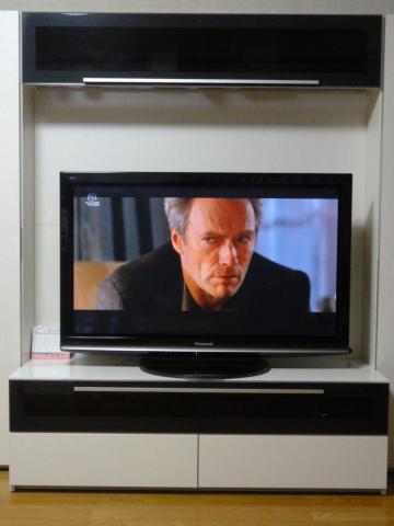 Panasonic TH-P46G2.jpg