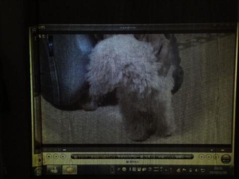 LED Projecter sample.jpg