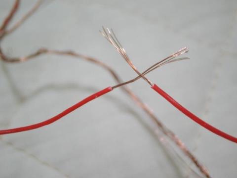 IMG_0689 (640x480).jpg