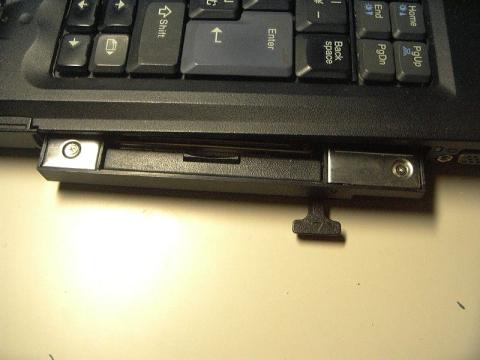 ウルトラベイが頭を出す