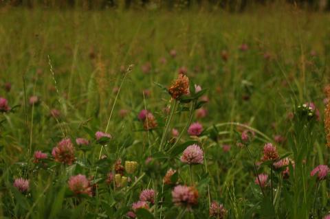 それっぽい写真