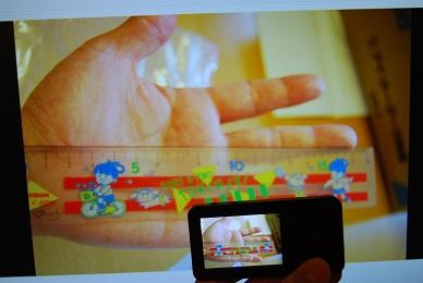 PCの元画像と、E300の画像。同じ物です。