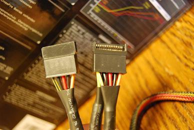 左が正常、右が欠損