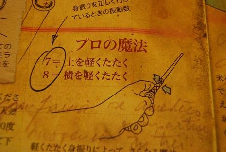 プロの魔法に入る