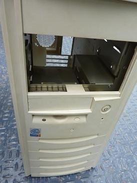 こんな子、見たことありませんか?その昔