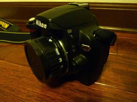 なんかこじんまりとしてかわいい。