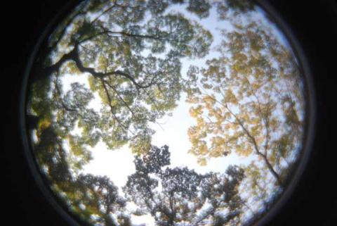 地球は丸い だから空も丸い