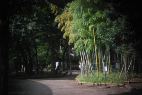 中央集光なので、奥行きが広がる?!