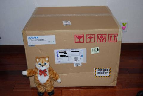 箱到着。巨大!!(一緒にいるのは我が家のダンシングキャットのネコ吉です。)