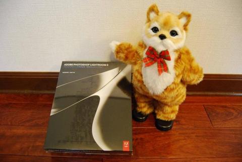 Lightroomとネコ吉。