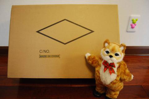 ネコ吉とPCの入っている箱