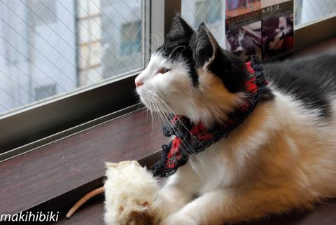 でも外の世界も大変なのかにゃ・・・