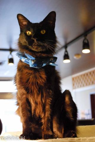 悪魔降臨!ふっはっはっはっは!!