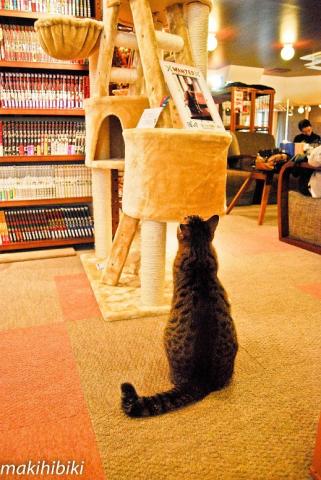 モデルが上手になったら僕もパネル写真作ってもらえるかにゃ。。。