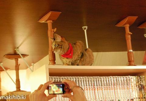 ポージングは、こうするんよ。