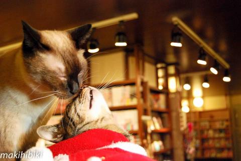 たぁーさん、まだ時間が早いって