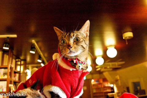 ん、なに?事件かっ!!