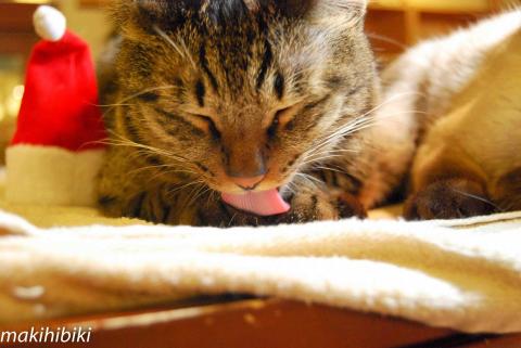 爪の垢を煎じて舐めております