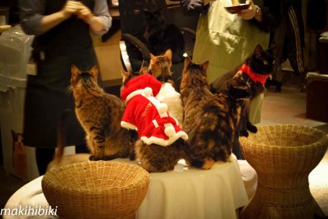 なにやるのなにやるの?