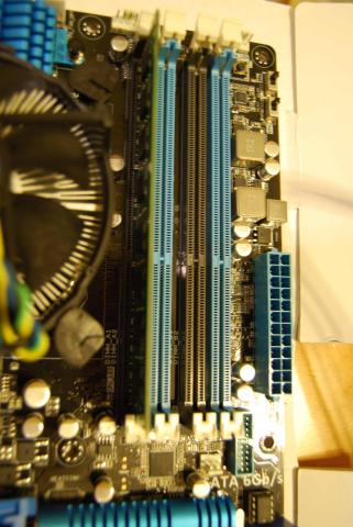 写真の左側だけ倒れ、右側は固定されている。ちょっと戸惑ったことは、秘密。