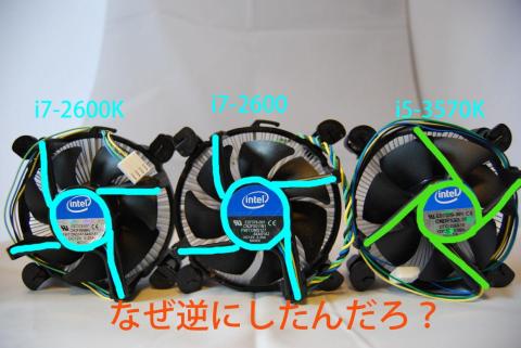 Ivyだけ違うのか??