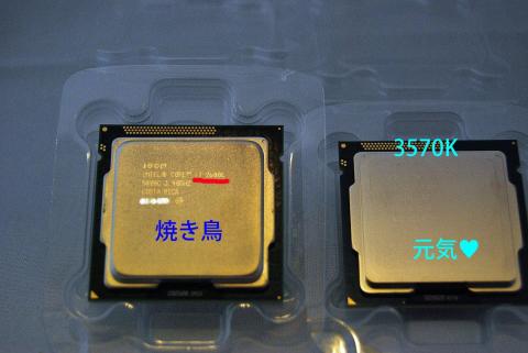 焼き鳥と焼かれる前w 生前の姿?